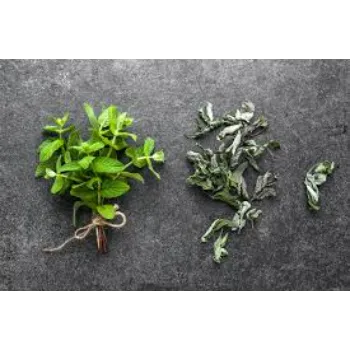Good Dry Mint Leaves